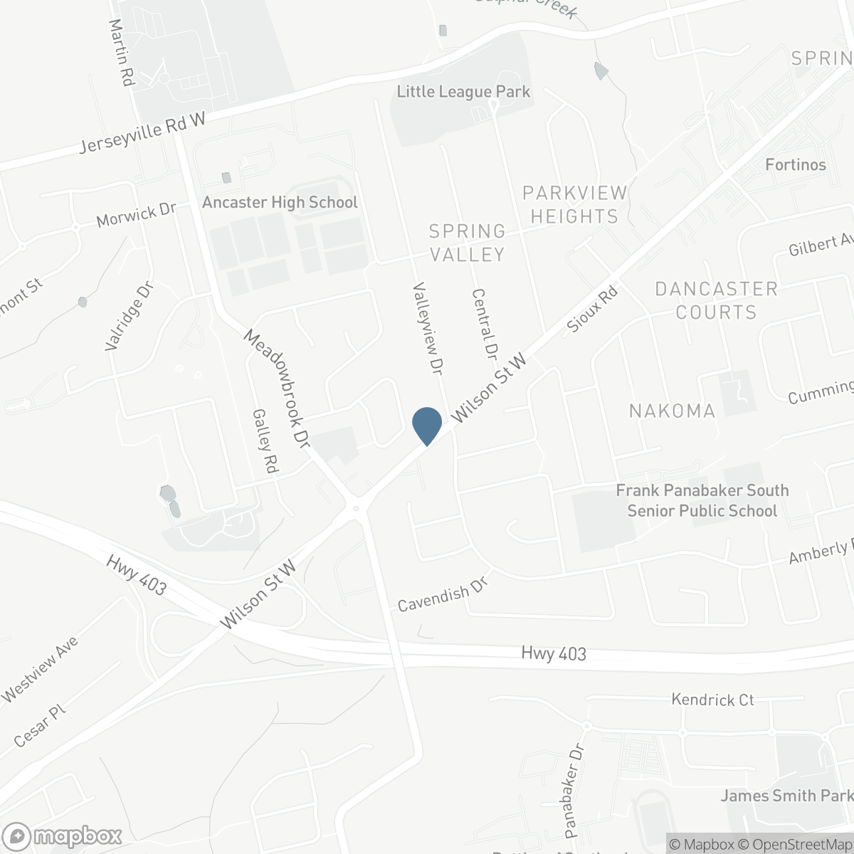 315 WILSON STREET W, Ancaster, Ontario L9G 0H8